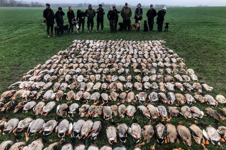 Wildfowling Combo Scandinavia