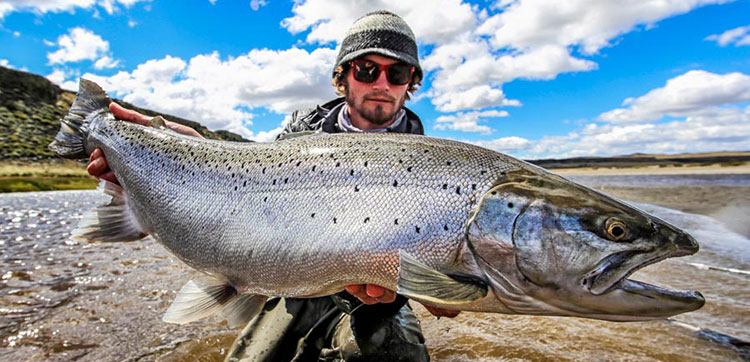 Sea Trout Fly Fishing