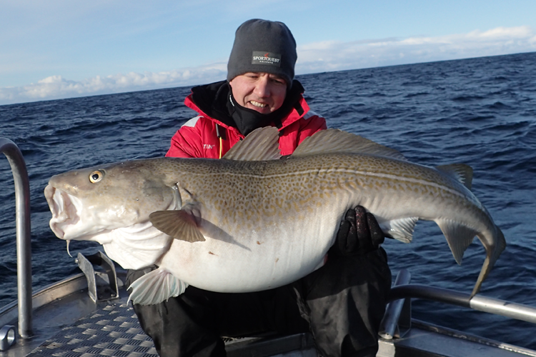 Skrei Cod