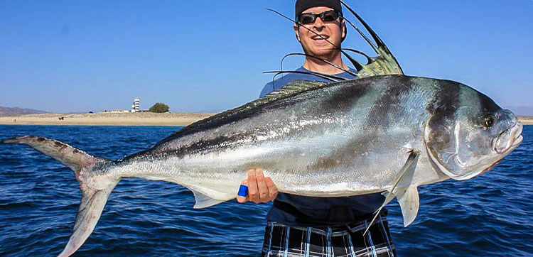 Roosterfish