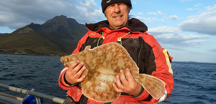 Plaice
