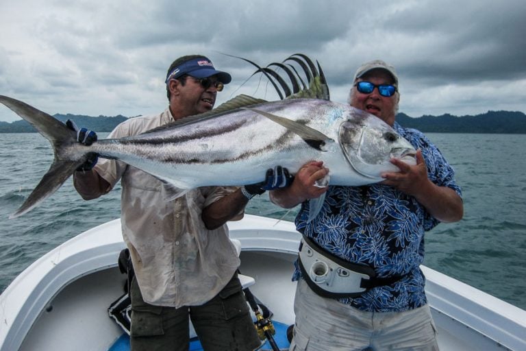 surface fishing for roosters