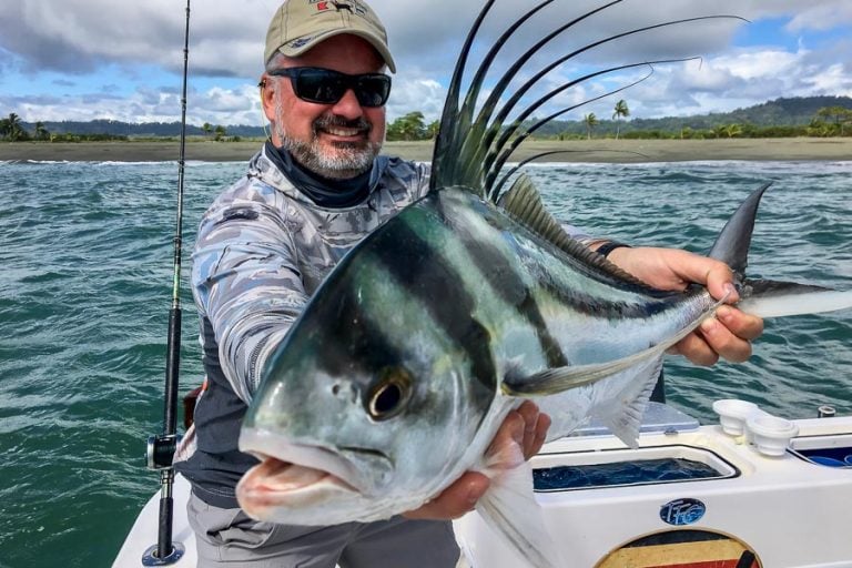 stunning stripes on rooster fish