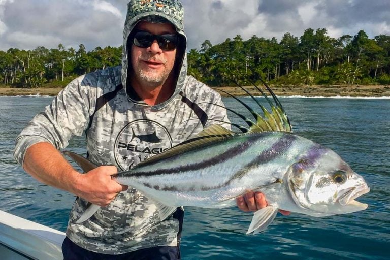 rooster fish in costa rica