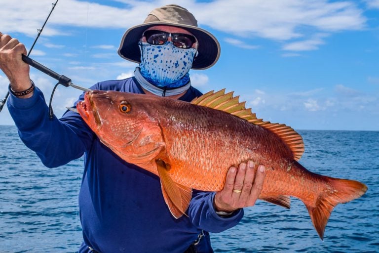 catching cubera snapper