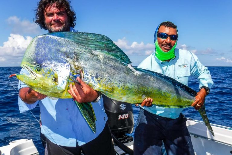 dorado lure fishing