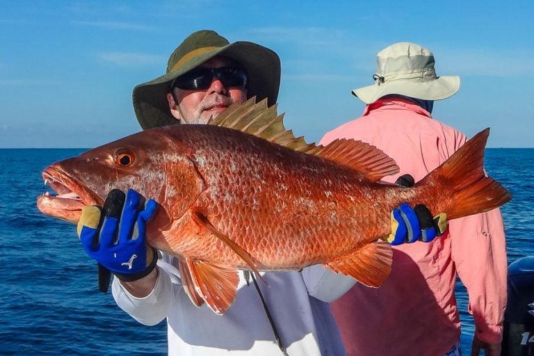 cubera snapper fishing