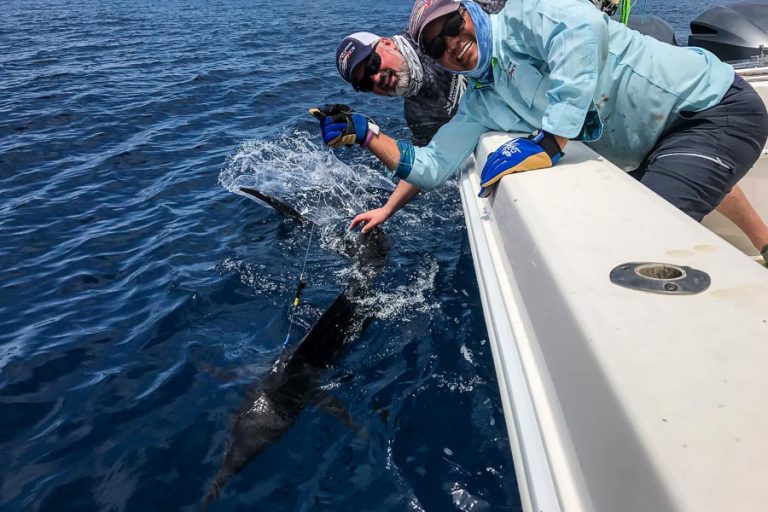 angler holding sailfish in water