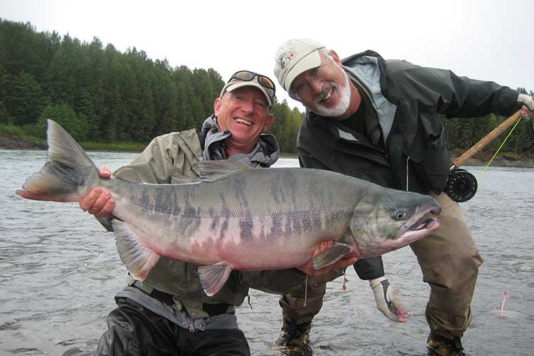 Chum Salmon