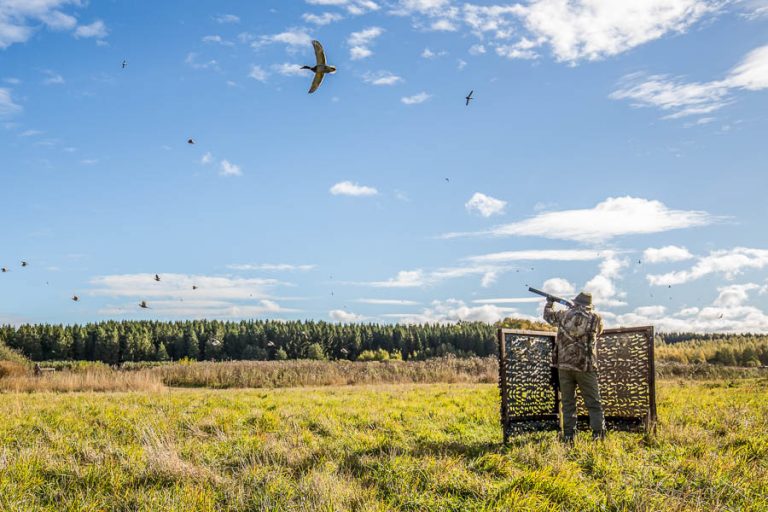 Wing Shooting Stora Sundby