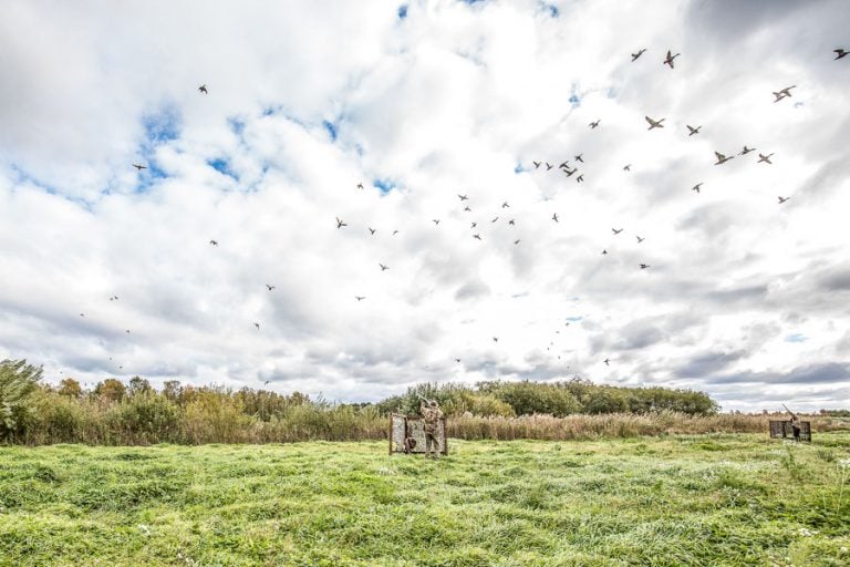 Wing Shooting Stora Sundby