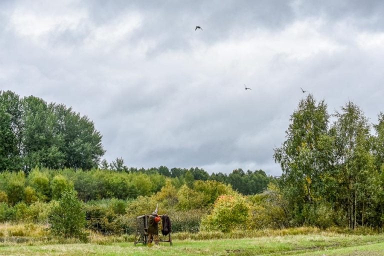 Wing Shooting Stora Sundby