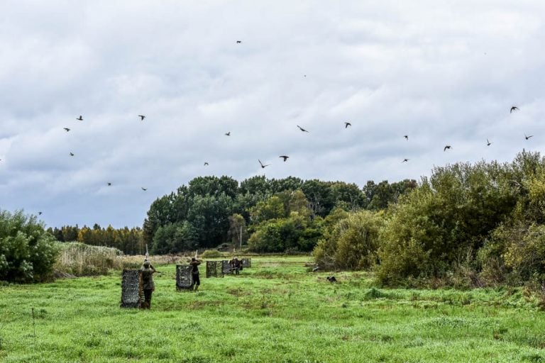 Wing Shooting Stora Sundby