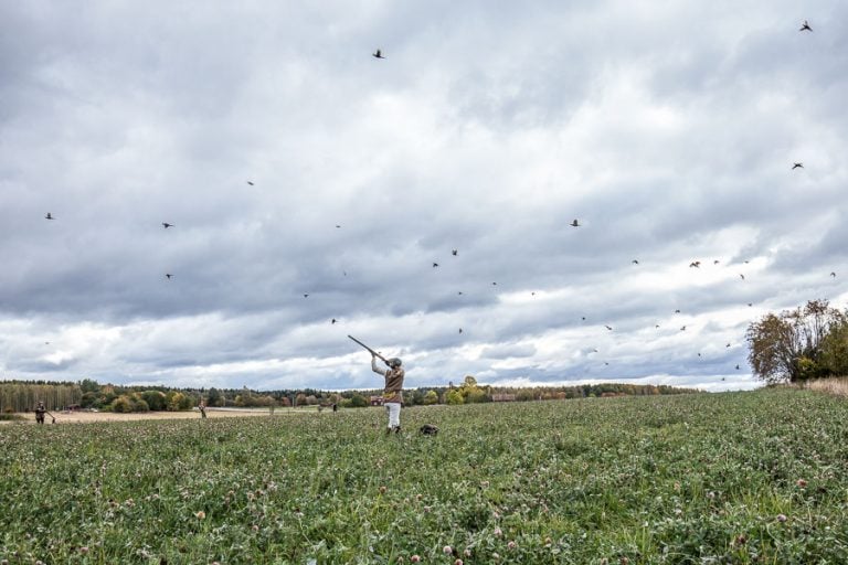 Wing Shooting Stora Sundby