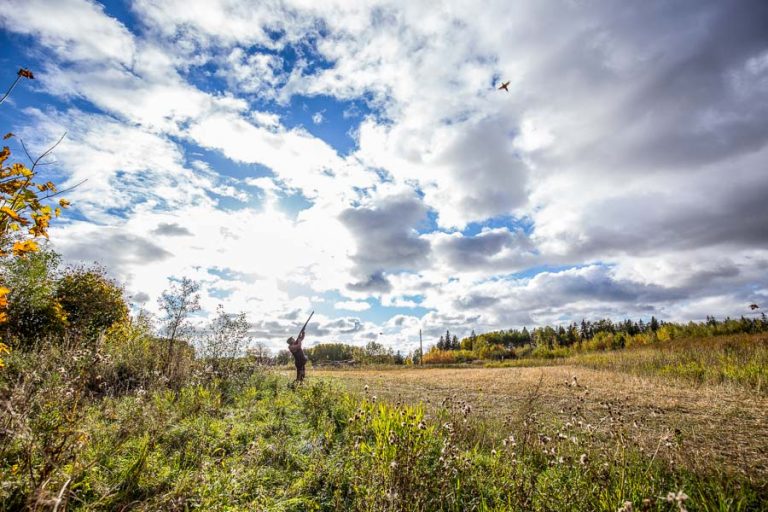 Wing Shooting Sweden