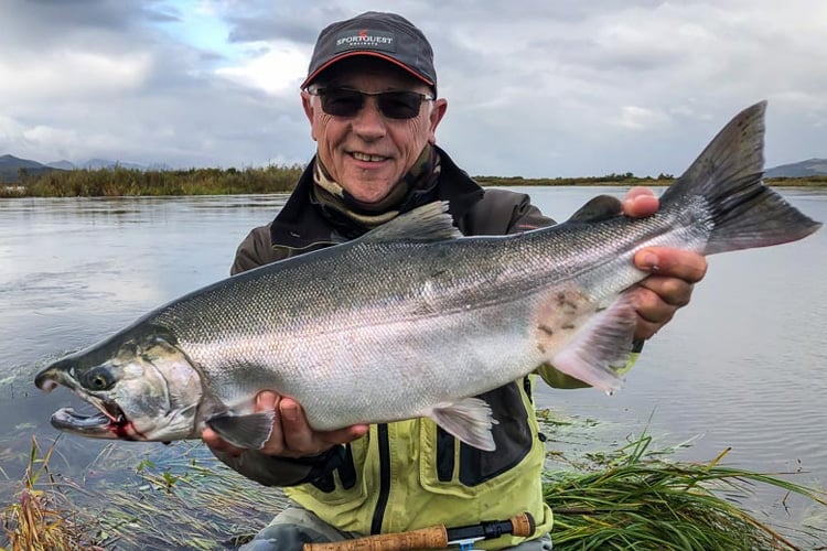 Coho Salmon: Species Spotlight | Fly Fishing Holidays | Sportquest Holidays