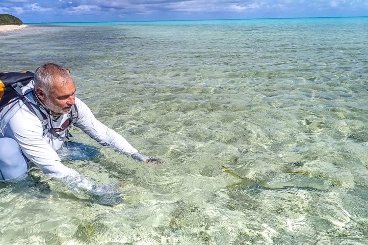 Bonefishing Seychelles 