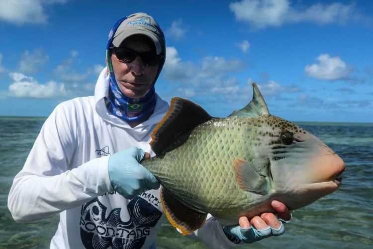Triggerfish Providence Fishing