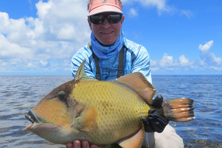 Triggerfish fishing Seychelles