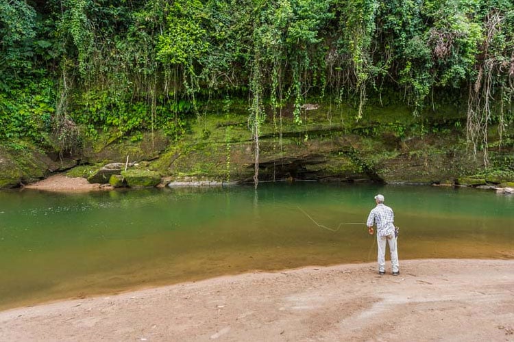 Golden Dorado Fly Fishing