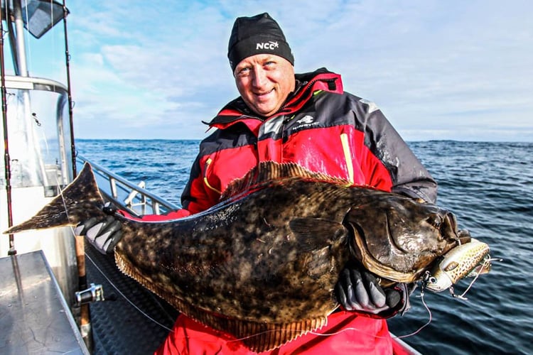 Halibut: The Flatfish Monsters of the Sea!