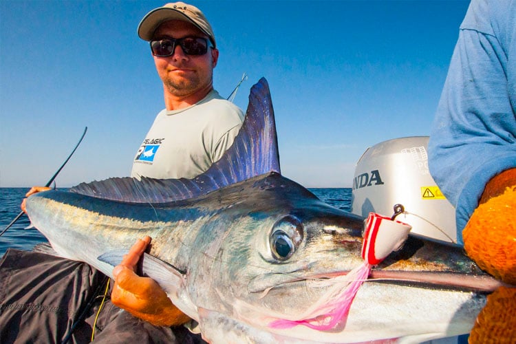 10 Top Tips To Help You Catch A Billfish On The Fly