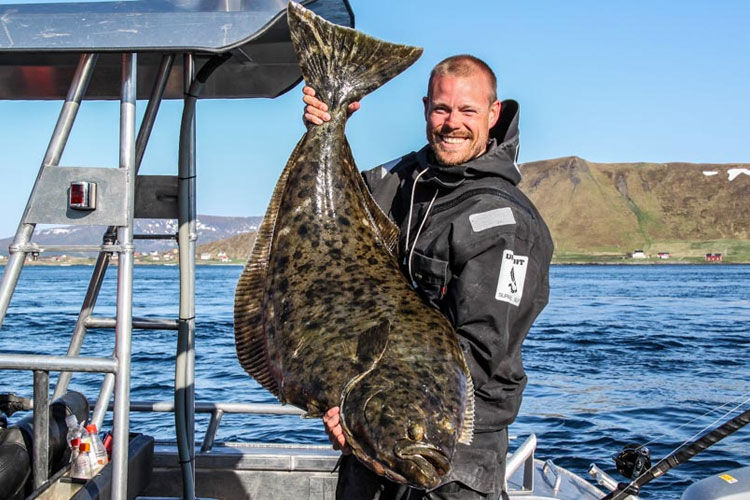 LOFOTEN NORTH NORWAY HALIBUT