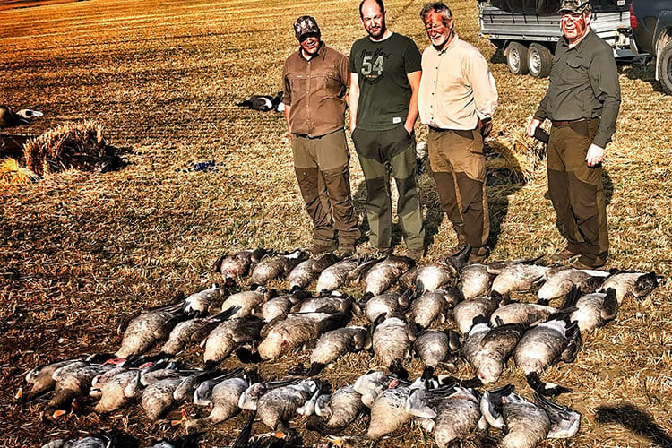 Goose Hunting in Sweden