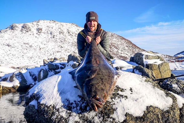 atlantic halibut