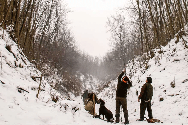 Shooting Pheasant tips on stance