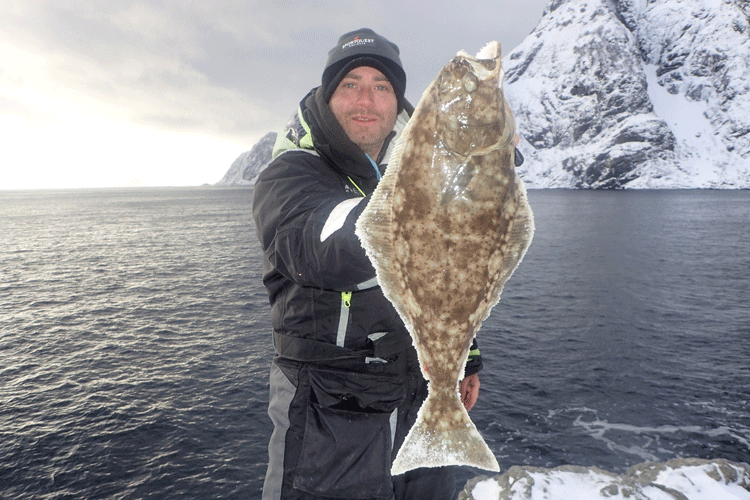 Lofoten shore fishing