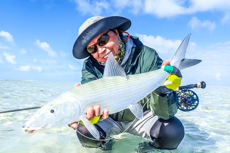 Sea trout