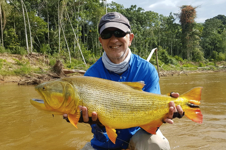 Golden Dorado