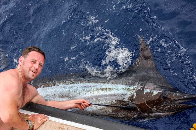 A large Blue marlin in Maderia
