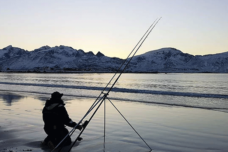 Lofoten islands shore fishing