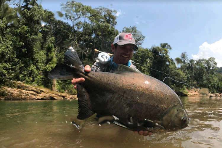 Tsimane Pacu