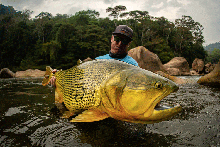 Tsunami lodge