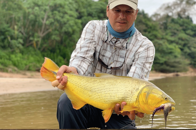 Golden Dorado