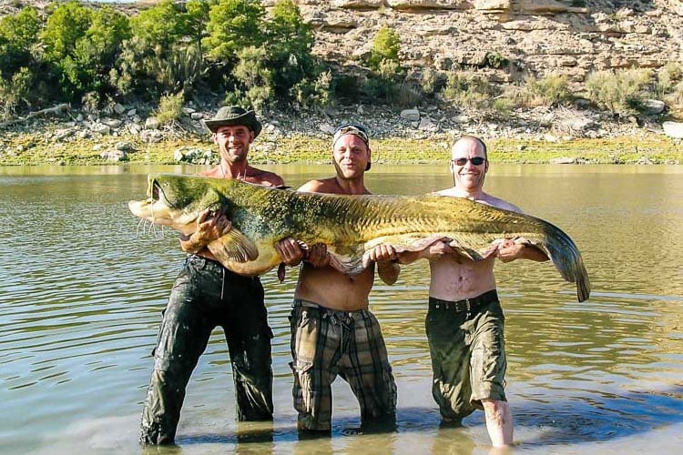 Short-haul flight freshwater Fishing Destinations