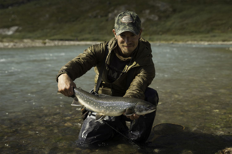 Sea Run Arctic Char