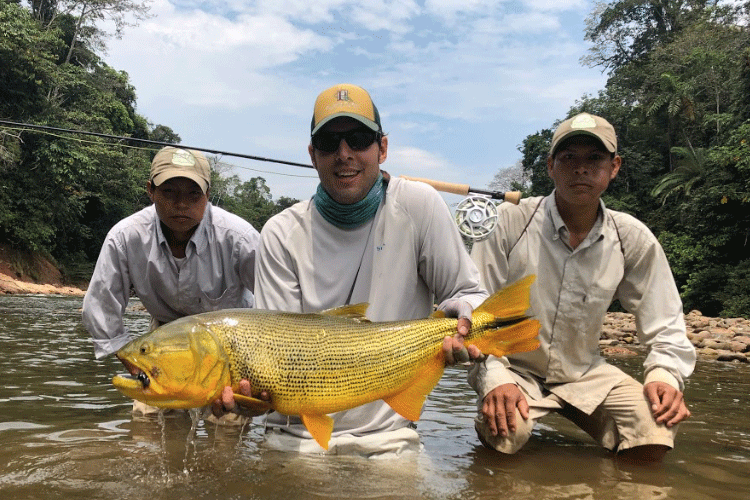 Golden Dorado