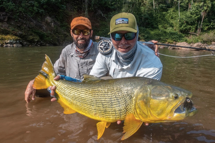 Golden Dorado Bolivia