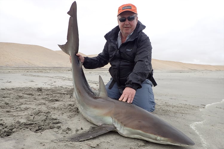 Shore fishing for Bronze Whaler Shark - Bushguide 101