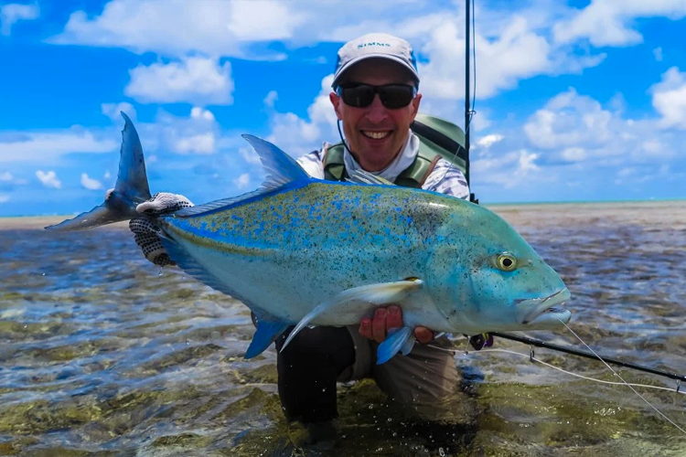 Blue Fin Trevally