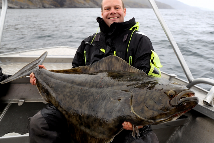 monster halibut