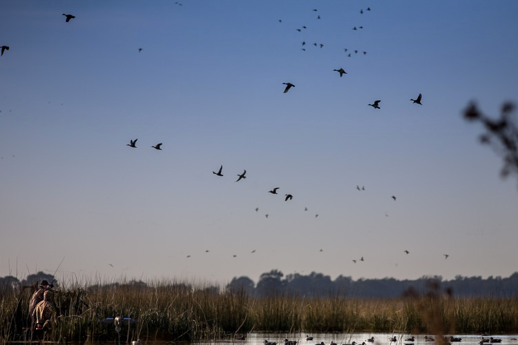 JACANA LODGE