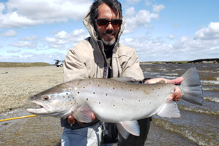 Sea trout release at Las Buitreras
