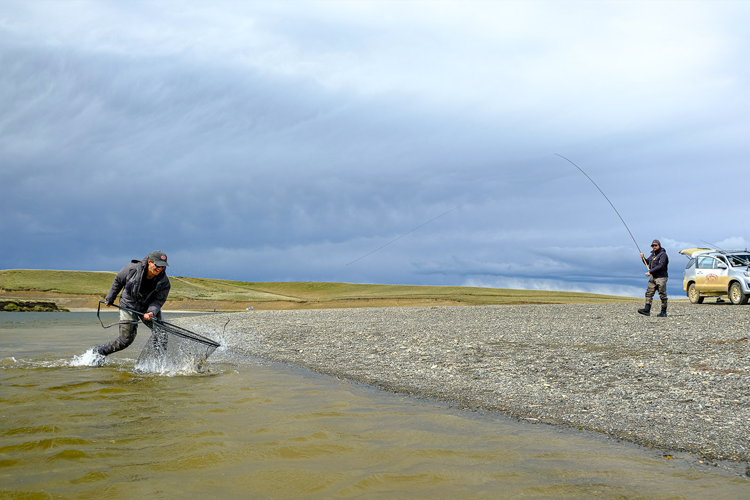 Las Buitreras Sea trout