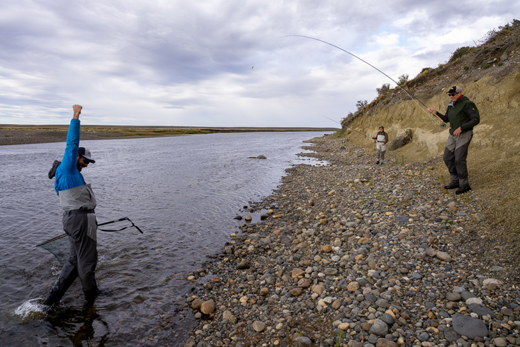 Sea trout at kau tapen