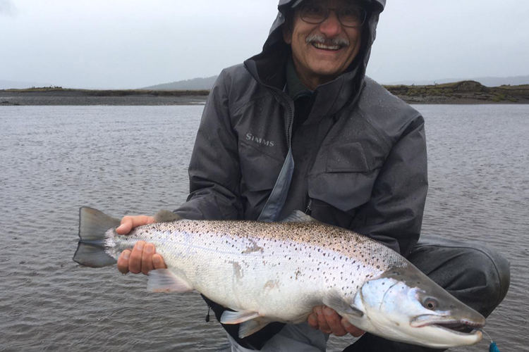 Sea Trout